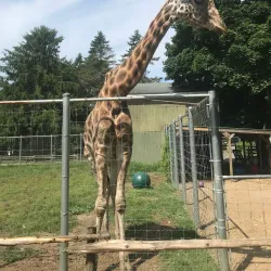 Long Island Game Farm - Smithtown