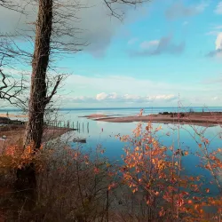 Nissequogue River State Park - Smithtown