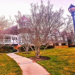 Agnes and Eugene Meyer Library - Southampton
