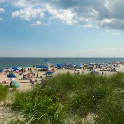 Coopers Beach - Southampton