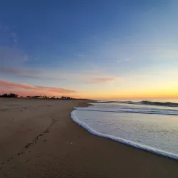 Coopers Beach - Southampton