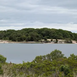 Elizabeth A. Morton National Wildlife Refuge - Southampton