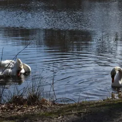 Elizabeth A. Morton National Wildlife Refuge - Southampton