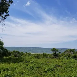Elizabeth A. Morton National Wildlife Refuge - Southampton