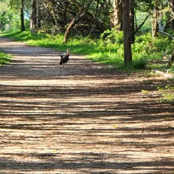 Elizabeth A. Morton National Wildlife Refuge - Southampton