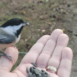 Elizabeth A. Morton National Wildlife Refuge - Southampton