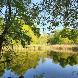 Elizabeth A. Morton National Wildlife Refuge - Southampton