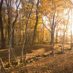 Elizabeth A. Morton National Wildlife Refuge - Southampton