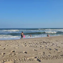 Shinnecock East County Park - Southampton