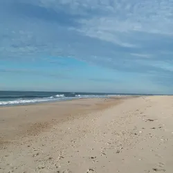 Shinnecock East County Park - Southampton