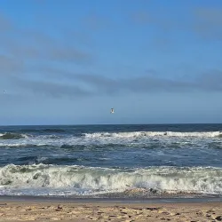 Shinnecock East County Park - Southampton