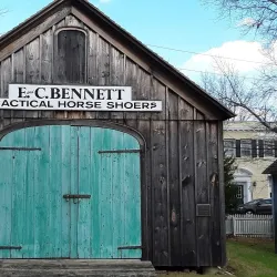 Southampton Historical Museum - Southampton