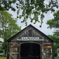 Southampton Historical Museum - Southampton