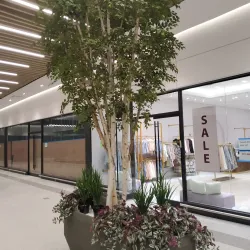 Local Dining and Markets - Spring Valley