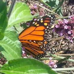 Rockland Community College - Spring Valley