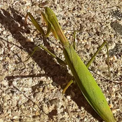 Rockland Community College - Spring Valley