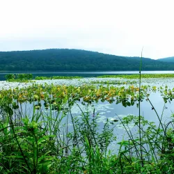Rockland Lake State Park - Spring Valley
