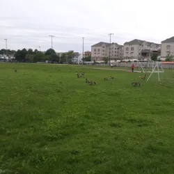 Spring Valley Park - Spring Valley