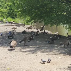 Spring Valley Park - Spring Valley