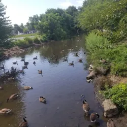 Spring Valley Park - Spring Valley