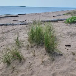 Fort Wadsworth - Staten Island