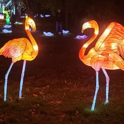 Snug Harbor Cultural Center & Botanical Garden - Staten Island