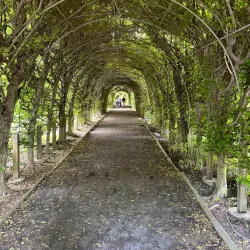 Snug Harbor Cultural Center & Botanical Garden - Staten Island