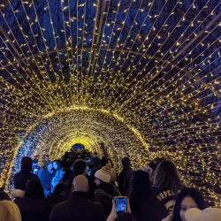 Snug Harbor Cultural Center & Botanical Garden - Staten Island