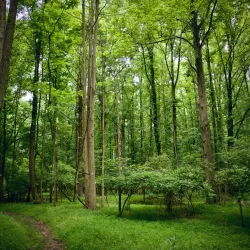Staten Island Greenbelt Nature Center - Staten Island