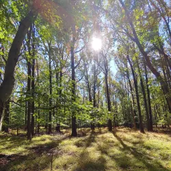 Staten Island Greenbelt Nature Center - Staten Island