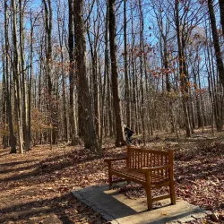 Staten Island Greenbelt Nature Center - Staten Island