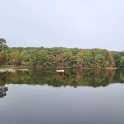 Staten Island Greenbelt Nature Center - Staten Island
