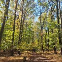 Staten Island Greenbelt - Staten Island