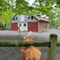 Staten Island Zoo - Staten Island