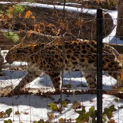 Staten Island Zoo - Staten Island