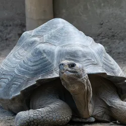 Staten Island Zoo - Staten Island