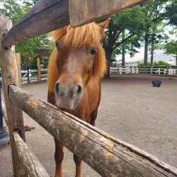 Staten Island Zoo - Staten Island
