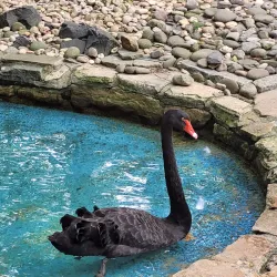 Staten Island Zoo - Staten Island