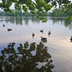 Wolfe's Pond Park - Staten Island