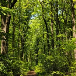 Wolfe's Pond Park - Staten Island