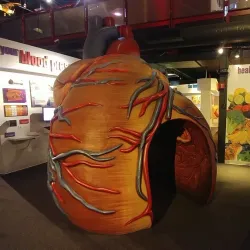 Museum of Science & Technology (MOST) - Syracuse