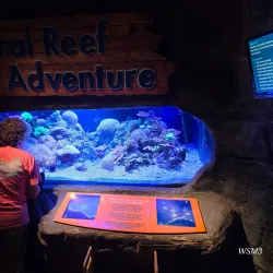 Museum of Science & Technology (MOST) - Syracuse