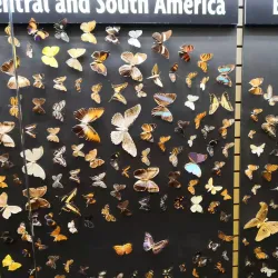 Museum of Science & Technology (MOST) - Syracuse