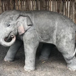 Rosamond Gifford Zoo - Syracuse