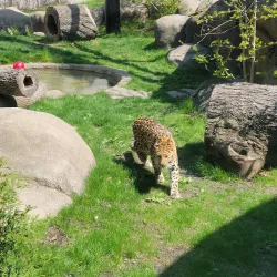 Rosamond Gifford Zoo - Syracuse
