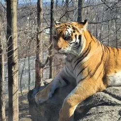 Rosamond Gifford Zoo - Syracuse