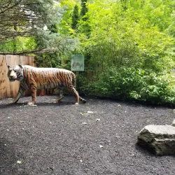Rosamond Gifford Zoo - Syracuse
