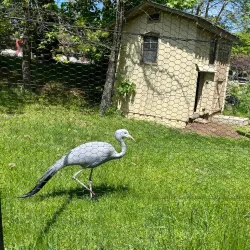 Rosamond Gifford Zoo - Syracuse