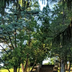 Thornden Park - Syracuse