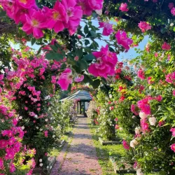 Thornden Park - Syracuse